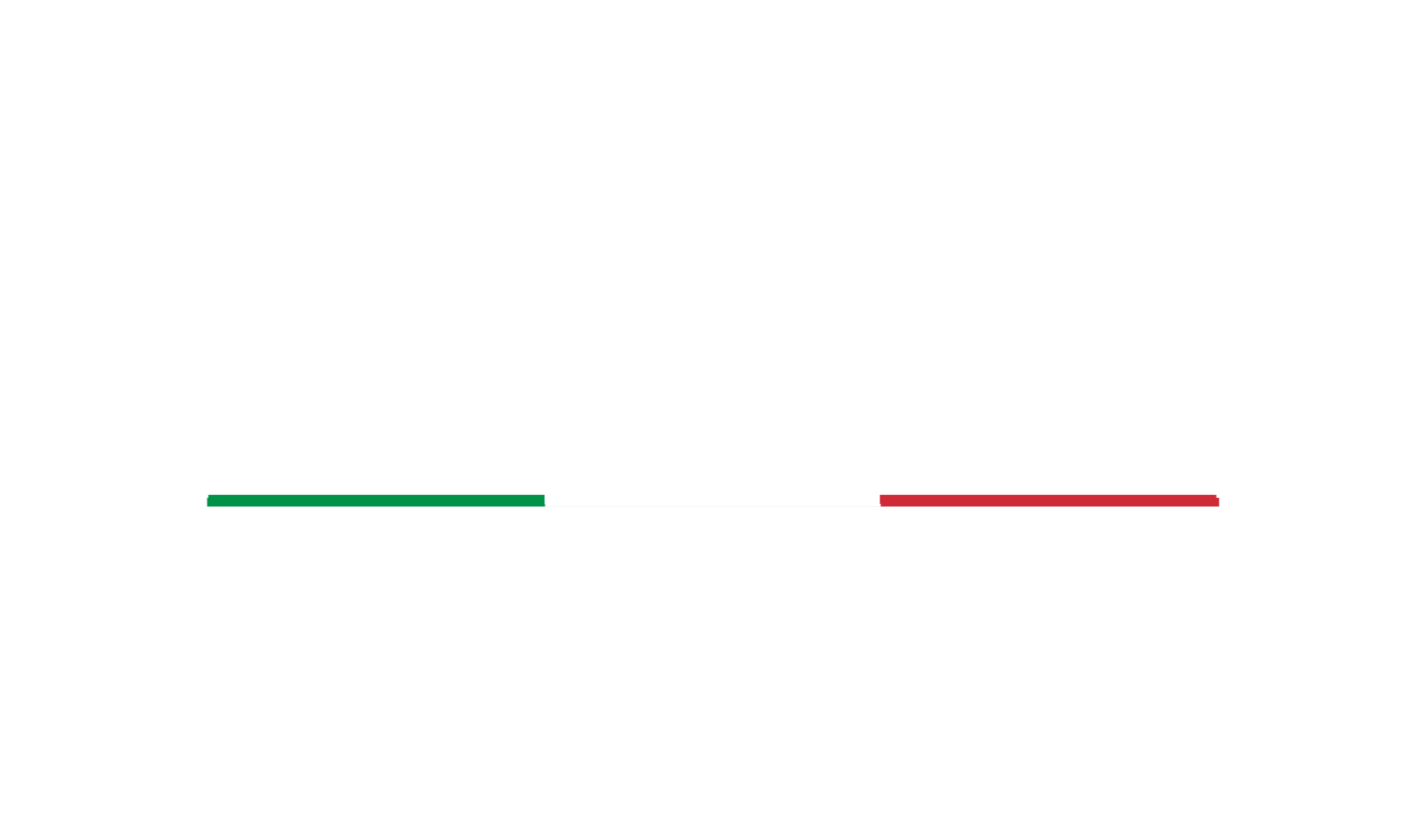 logo-rinaldi-valflex
